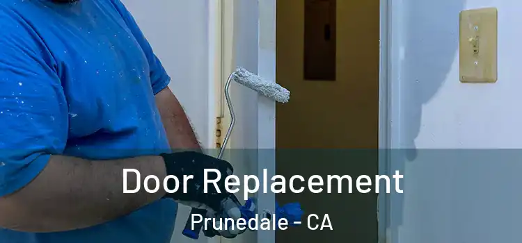  Door Replacement Prunedale - CA