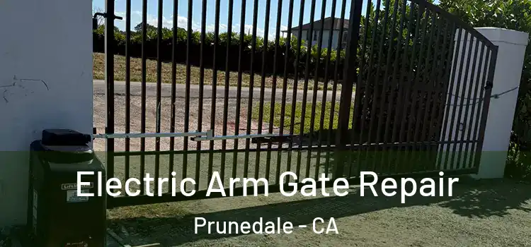 Electric Arm Gate Repair Prunedale - CA