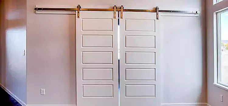 Glass Barn Door with Installation Hardware Kit Prunedale
