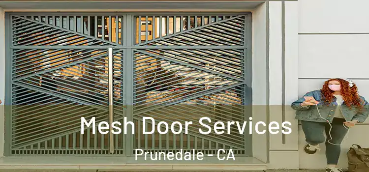 Mesh Door Services Prunedale - CA