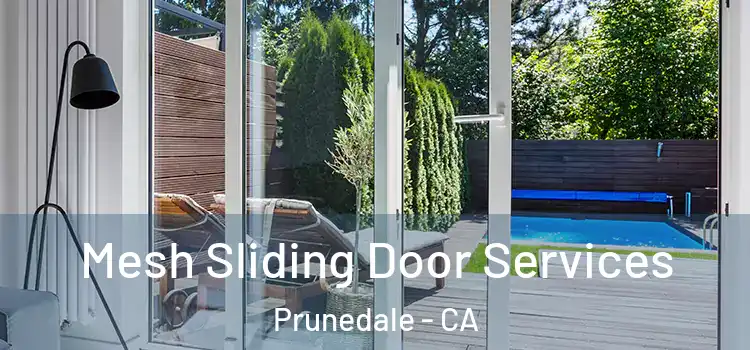 Mesh Sliding Door Services Prunedale - CA